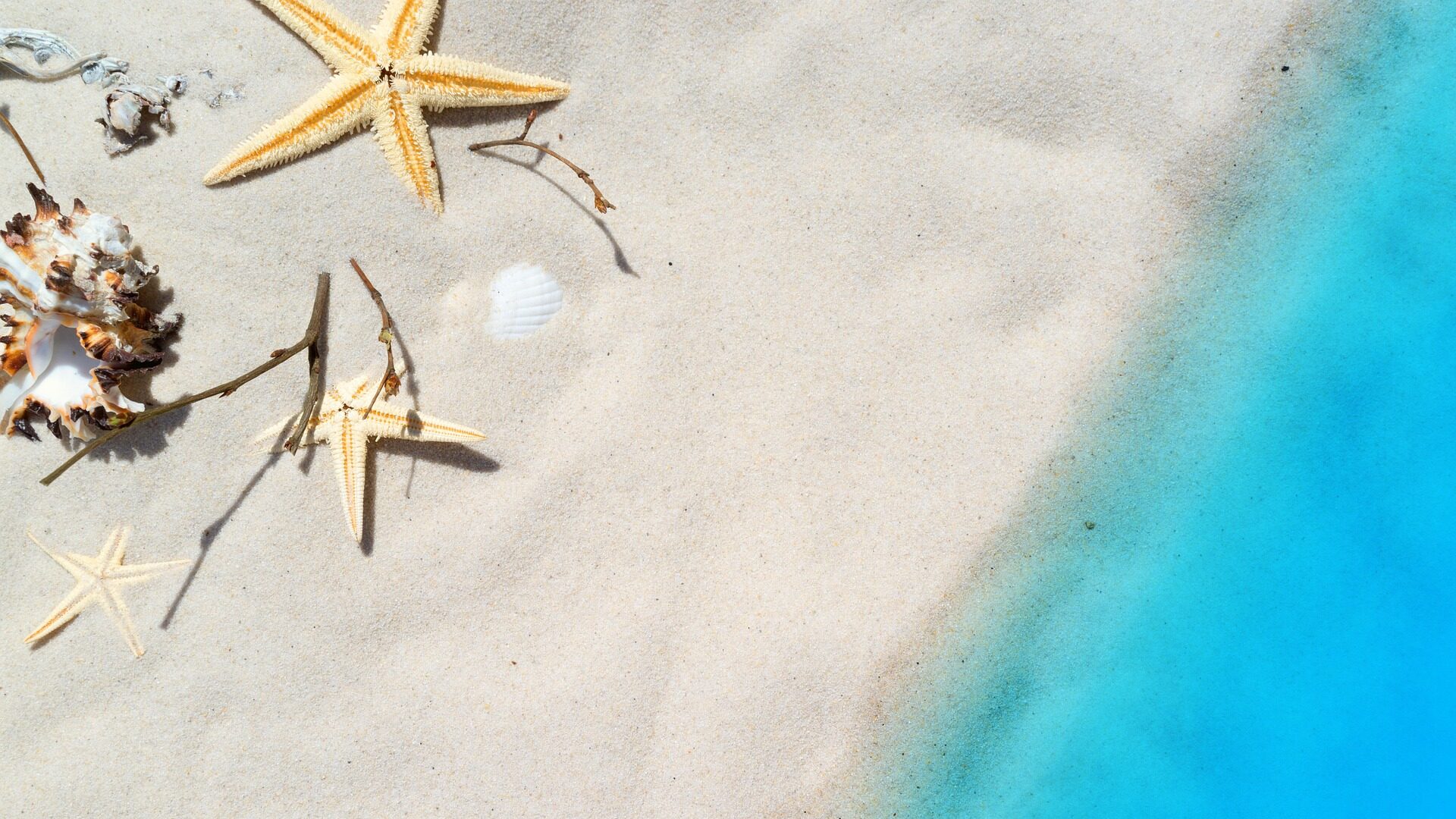 Energiesparen, damit Sie mit gutem Gewissen und weniger Kosten Ihren Urlaub genießen können.