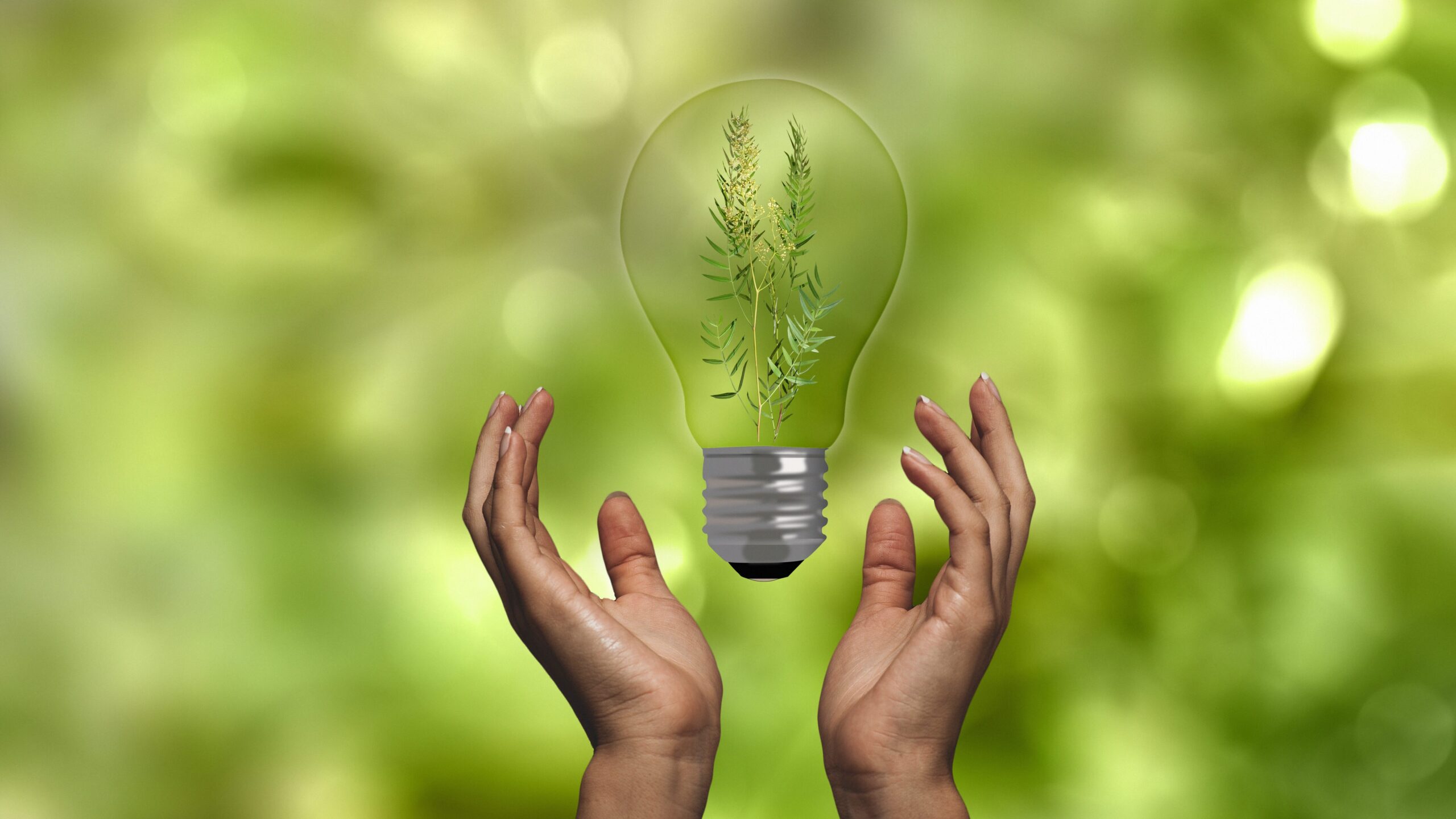 Energiesparen im Haushalt , Haushaltsenergie